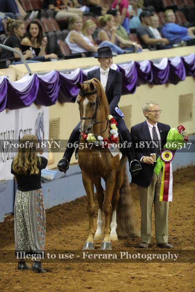 Proof 18YN_06517