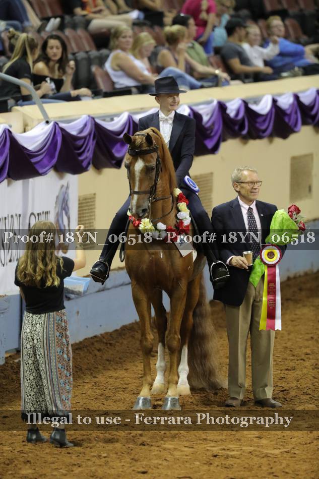Proof 18YN_06518