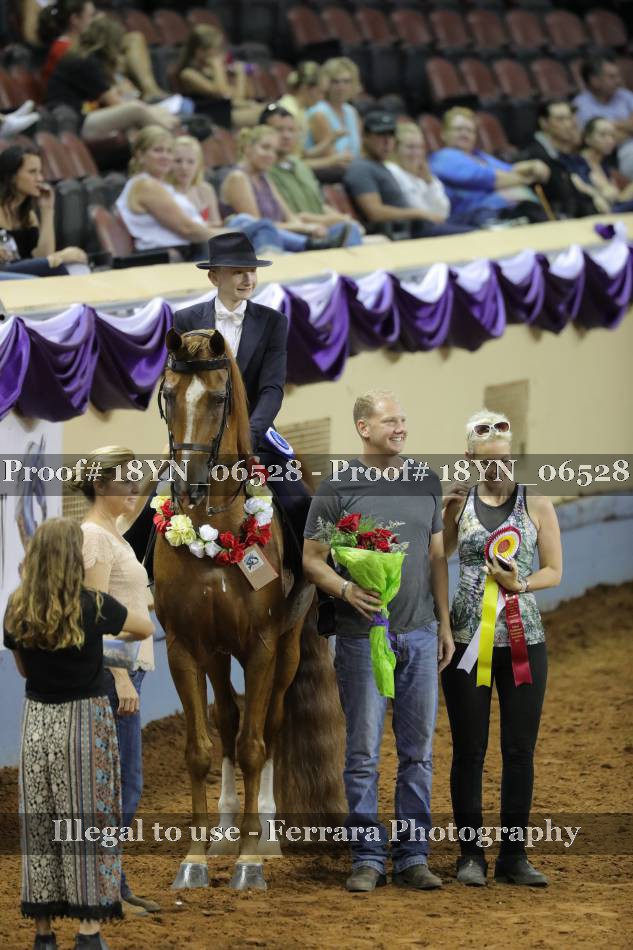 Proof 18YN_06528