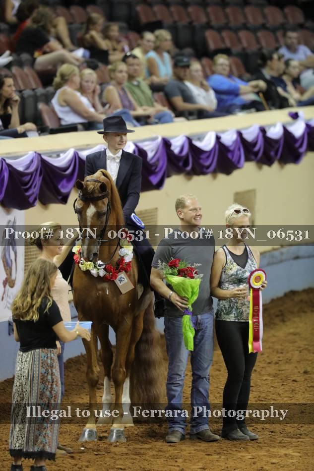 Proof 18YN_06531