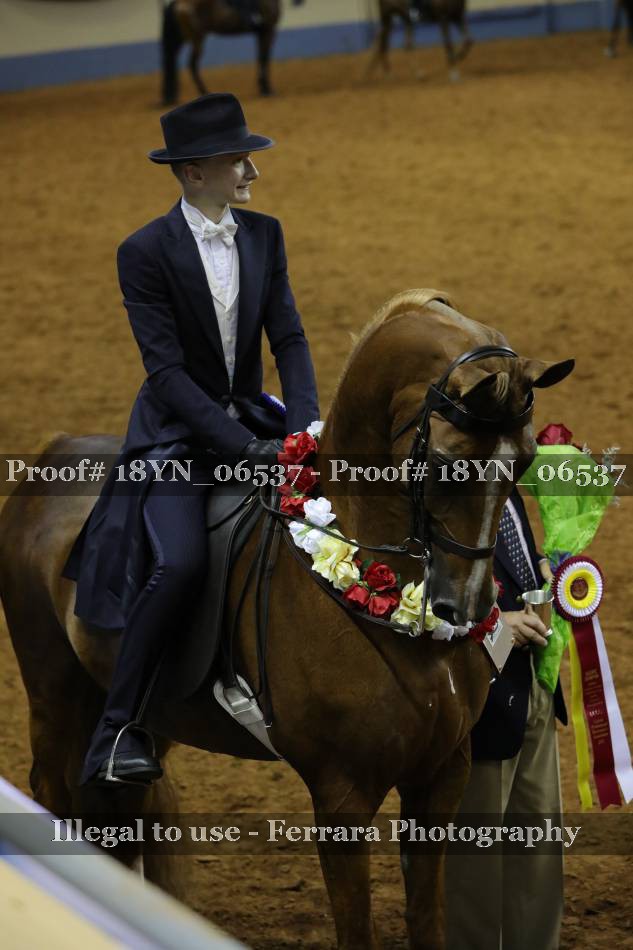 Proof 18YN_06537