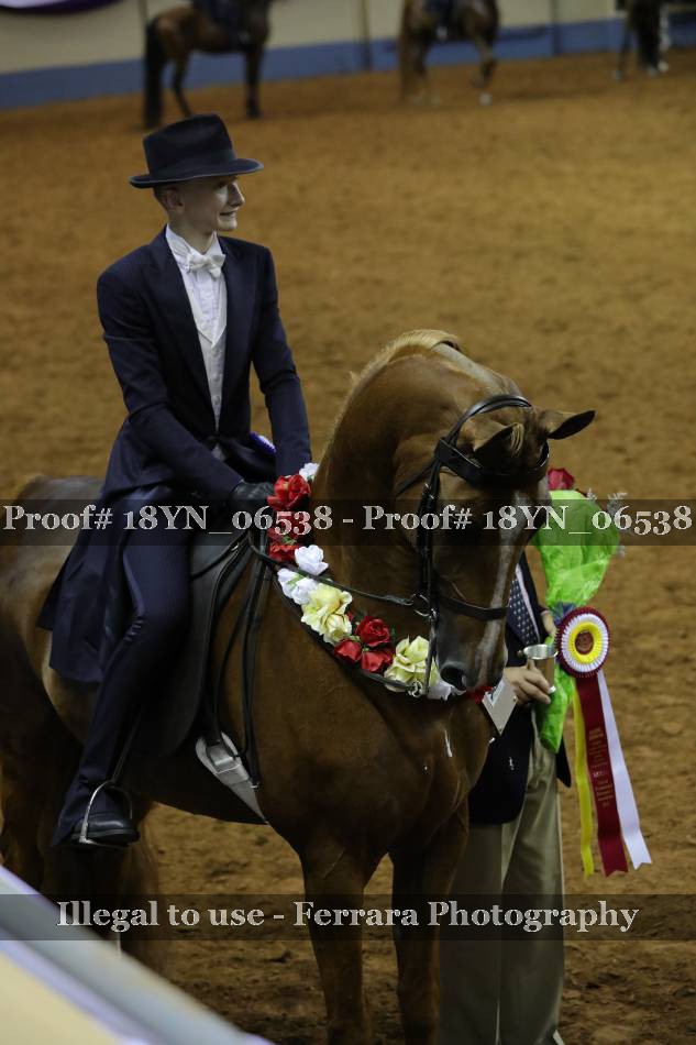 Proof 18YN_06538