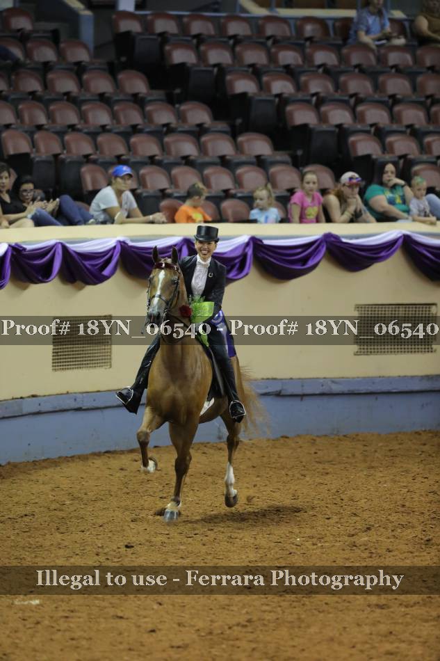 Proof 18YN_06540