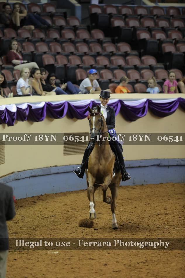Proof 18YN_06541