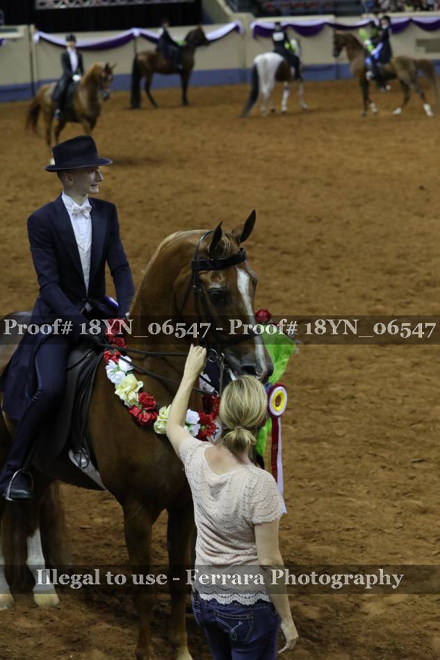 Proof 18YN_06547