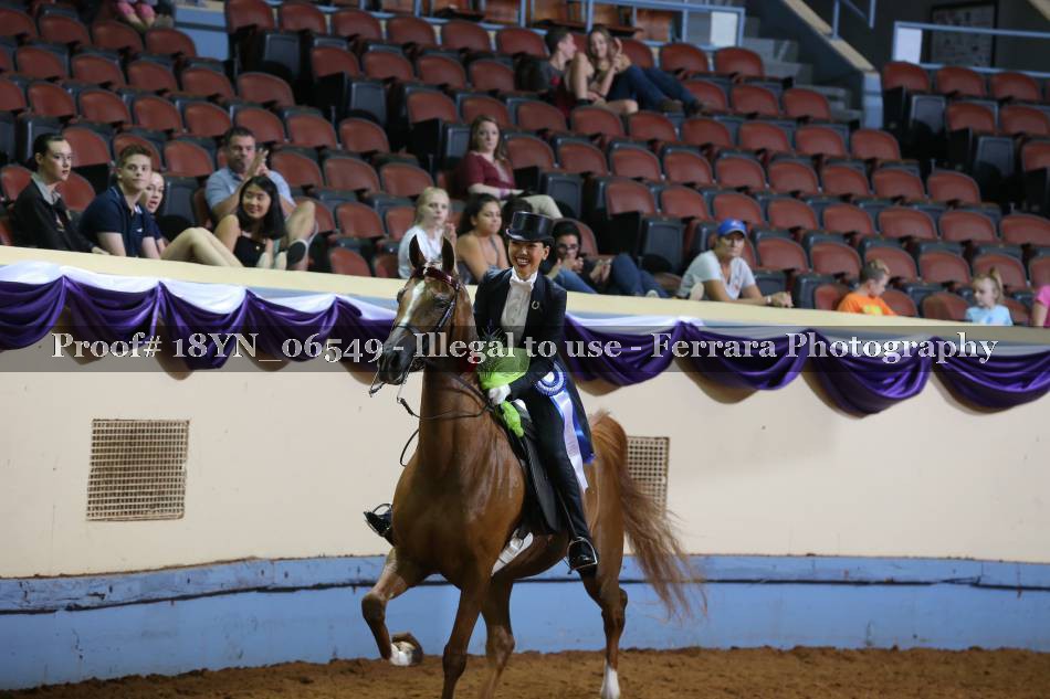 Proof 18YN_06549