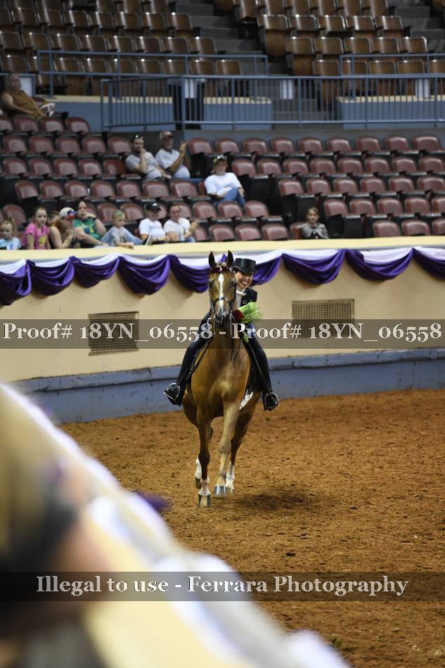 Proof 18YN_06558