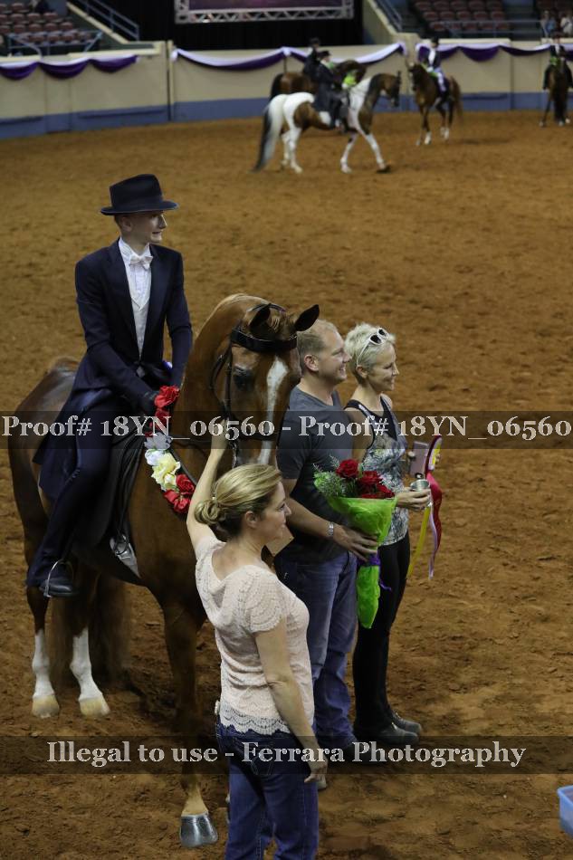 Proof 18YN_06560
