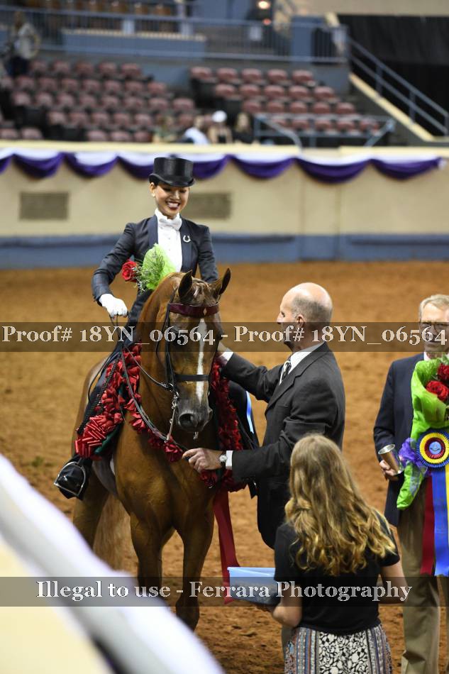 Proof 18YN_06564
