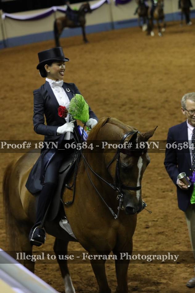 Proof 18YN_06584