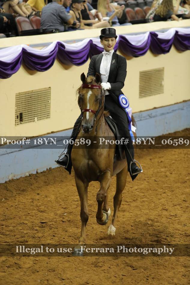 Proof 18YN_06589
