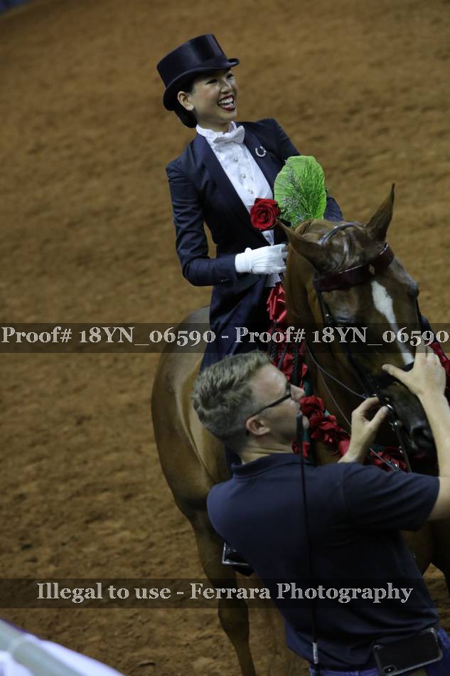 Proof 18YN_06590