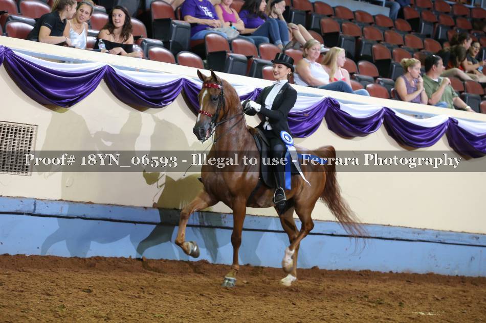 Proof 18YN_06593
