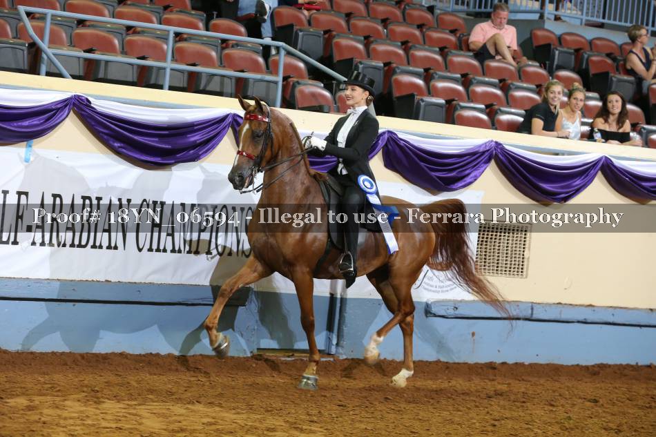 Proof 18YN_06594