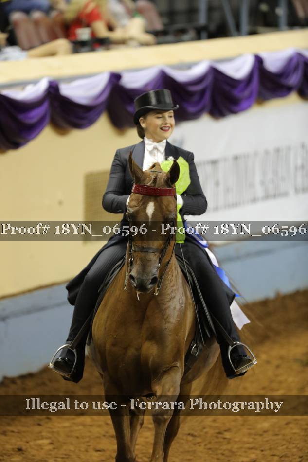 Proof 18YN_06596