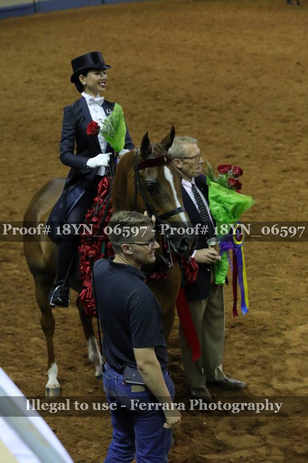Proof 18YN_06597