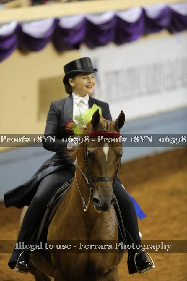 Proof 18YN_06598