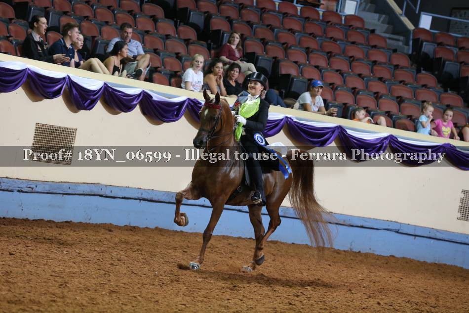 Proof 18YN_06599