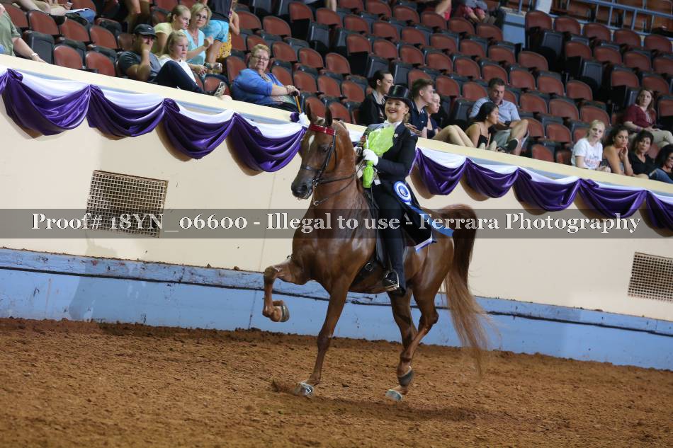 Proof 18YN_06600