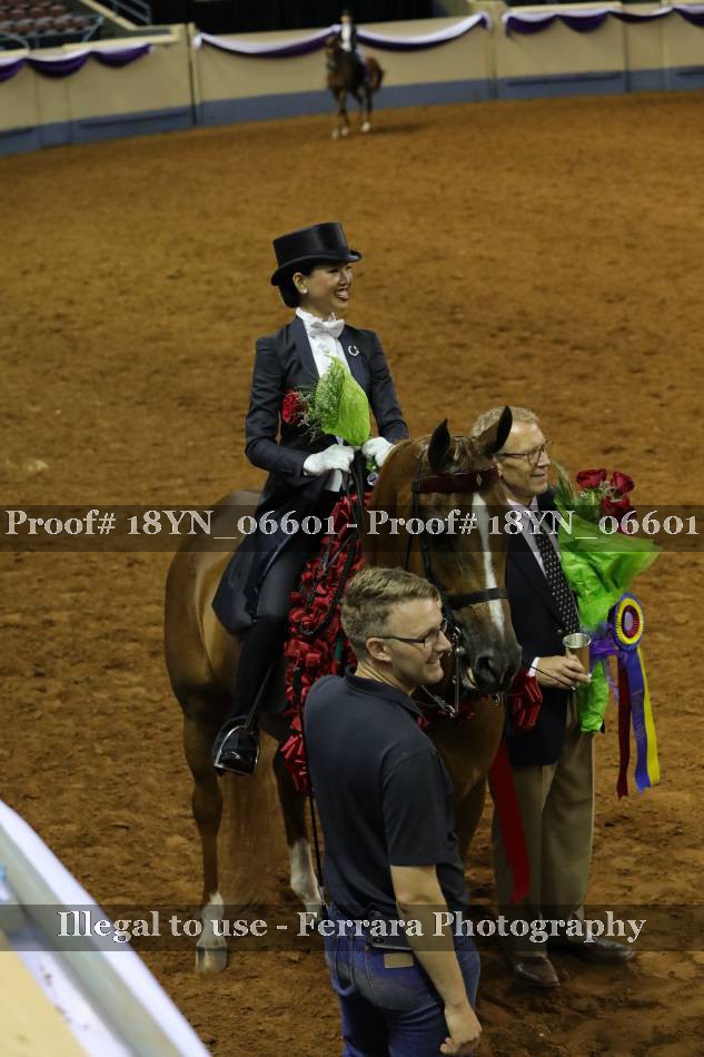 Proof 18YN_06601