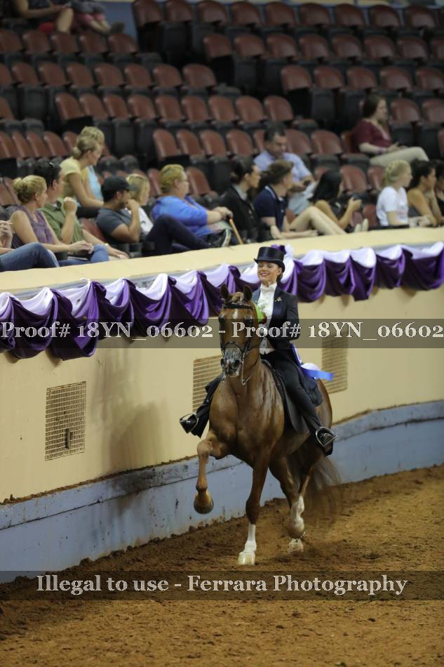 Proof 18YN_06602