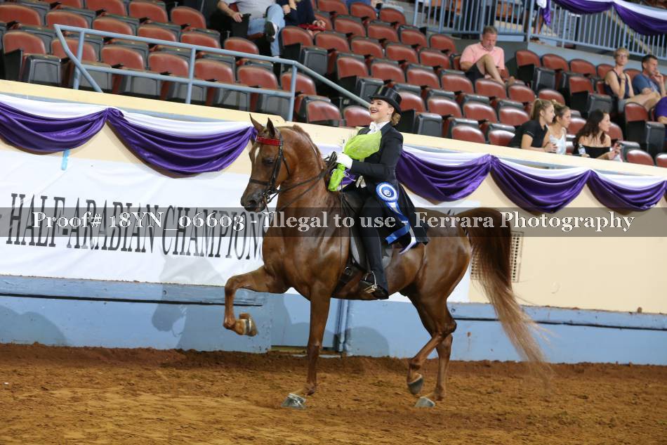 Proof 18YN_06603