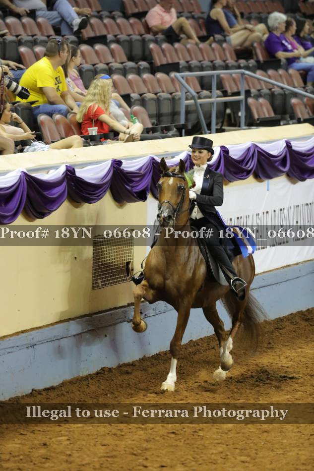 Proof 18YN_06608