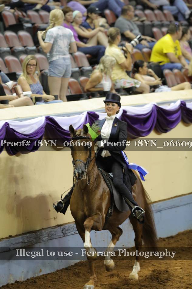 Proof 18YN_06609