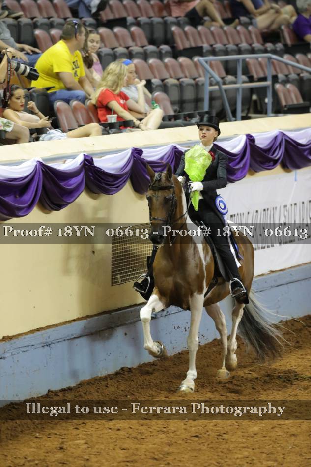 Proof 18YN_06613
