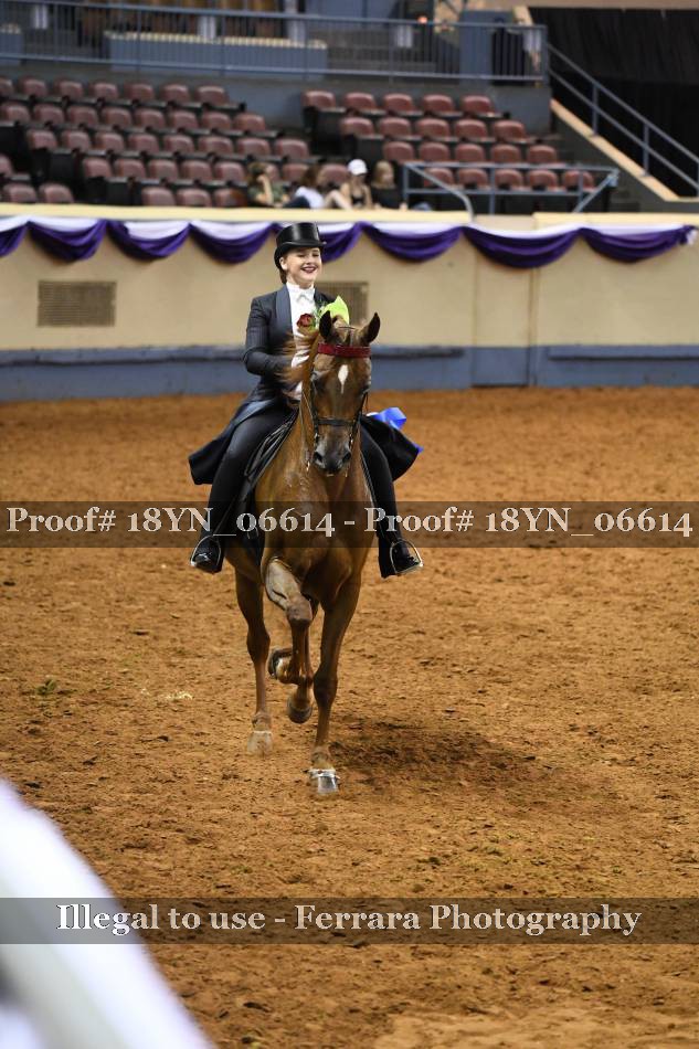 Proof 18YN_06614