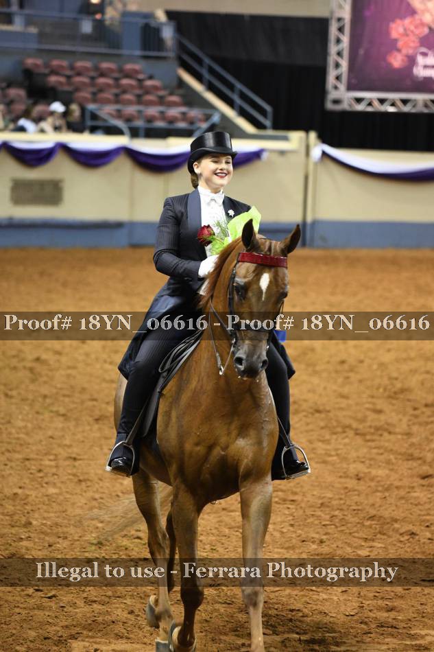 Proof 18YN_06616