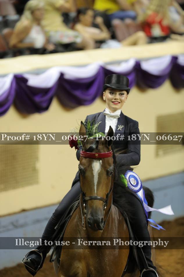 Proof 18YN_06627