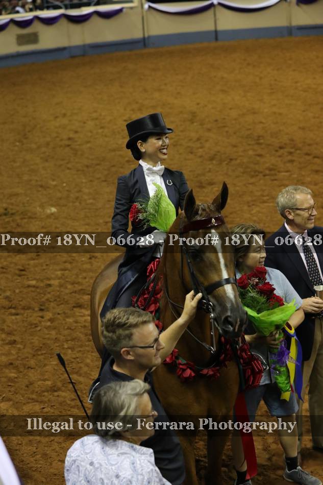 Proof 18YN_06628