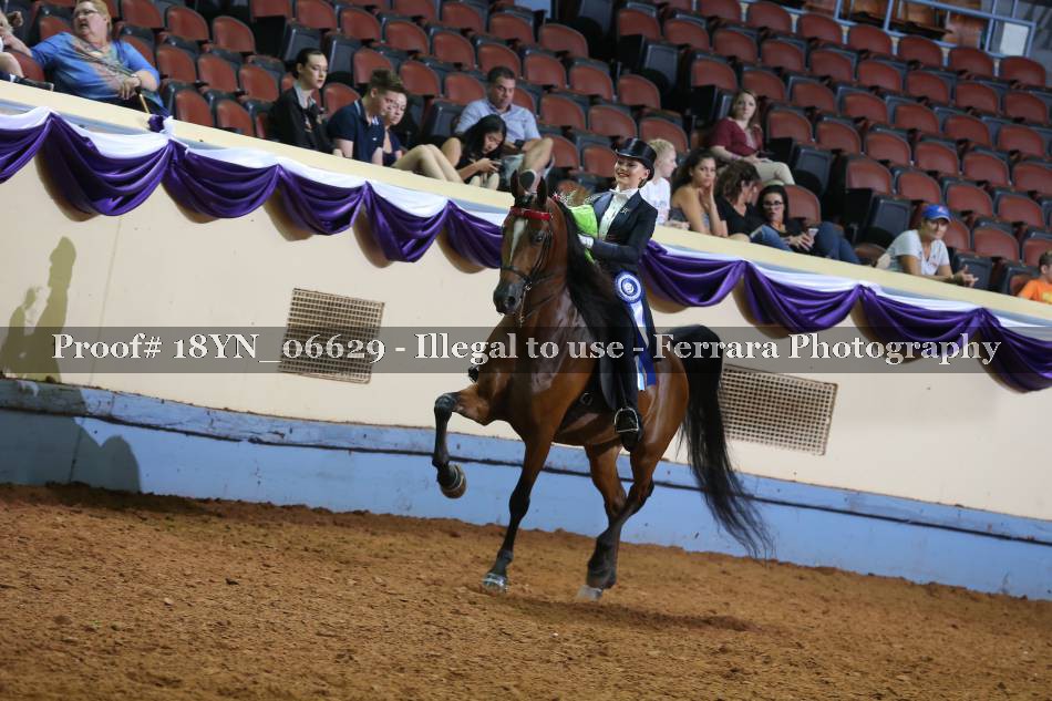 Proof 18YN_06629