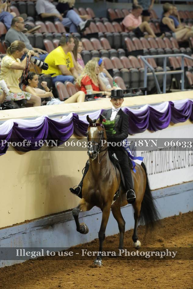 Proof 18YN_06633