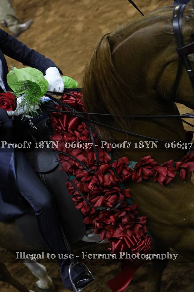 Proof 18YN_06637