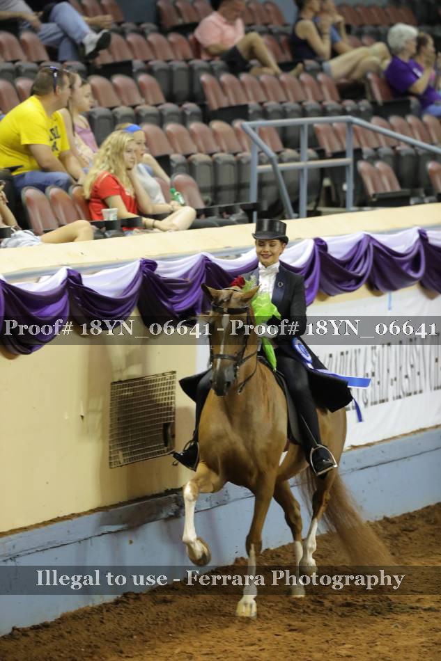 Proof 18YN_06641