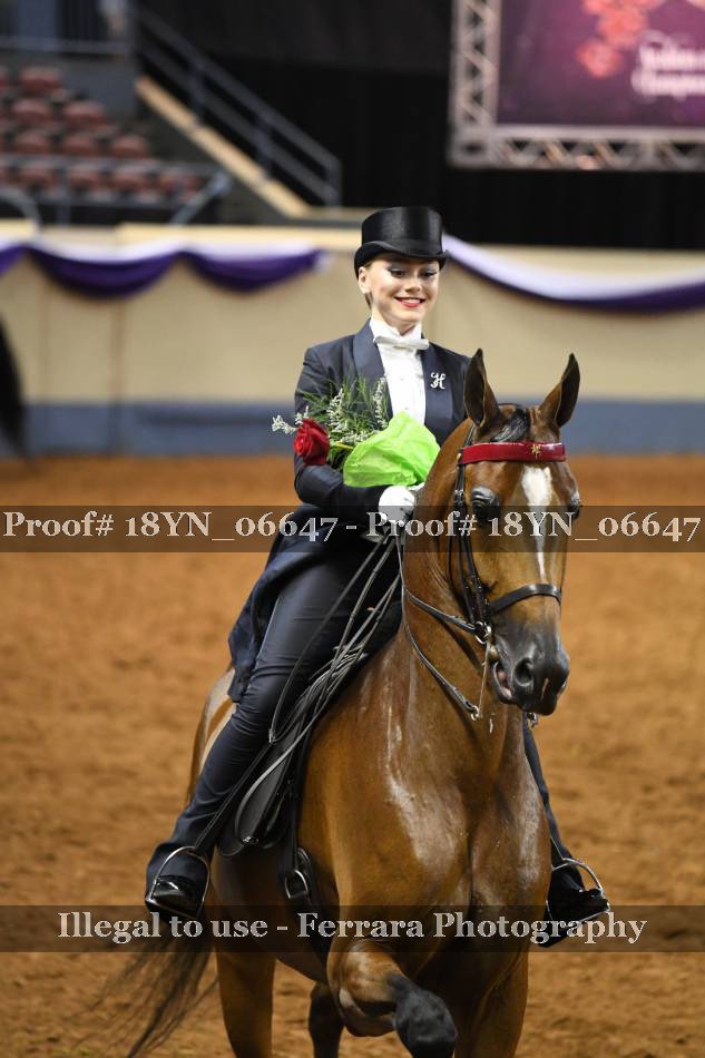 Proof 18YN_06647