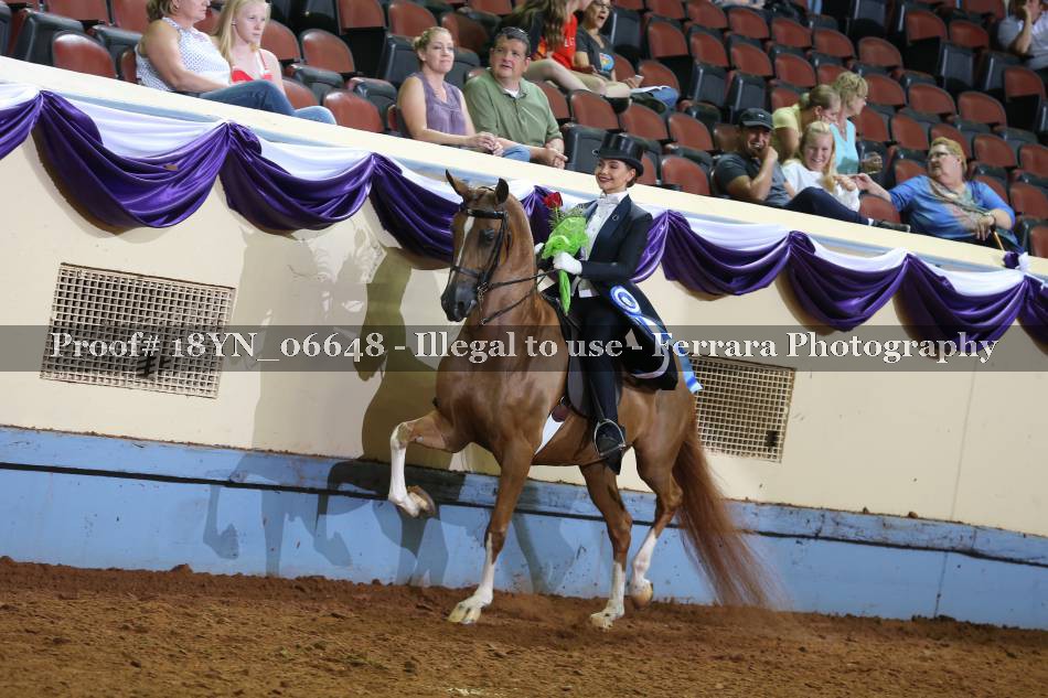 Proof 18YN_06648