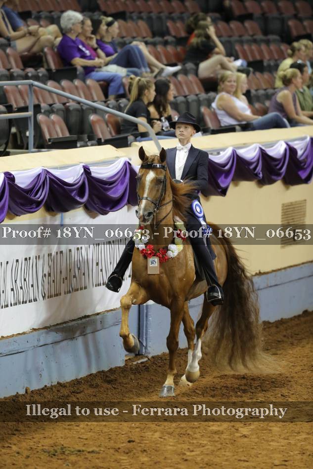 Proof 18YN_06653