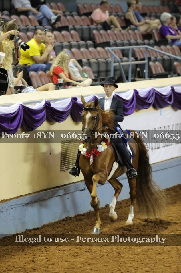 Proof 18YN_06655