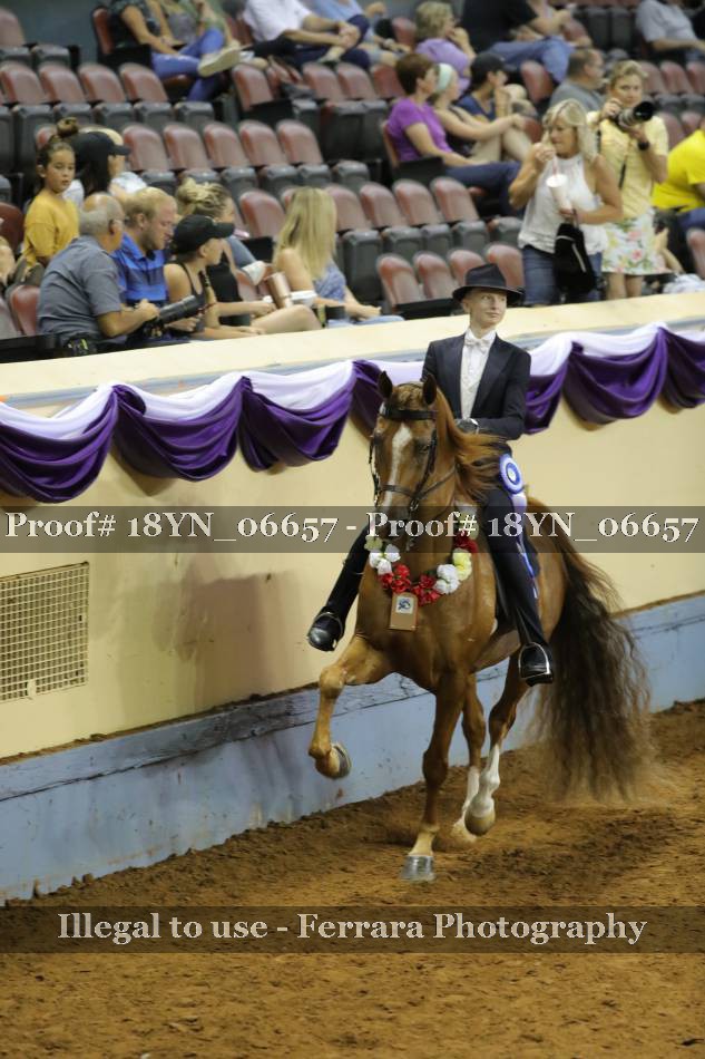 Proof 18YN_06657
