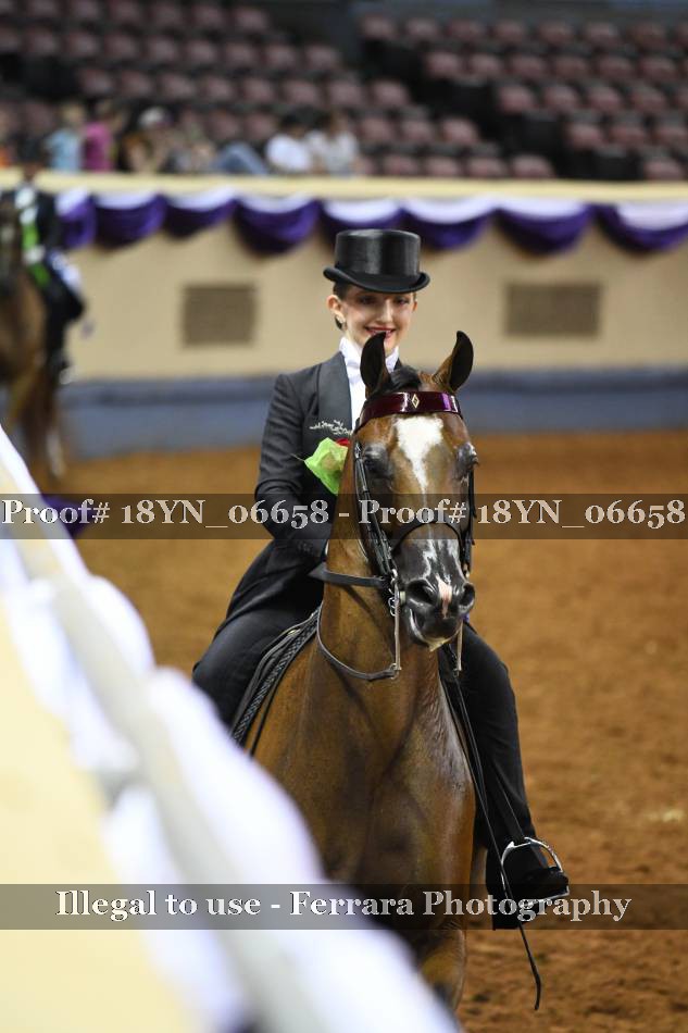 Proof 18YN_06658