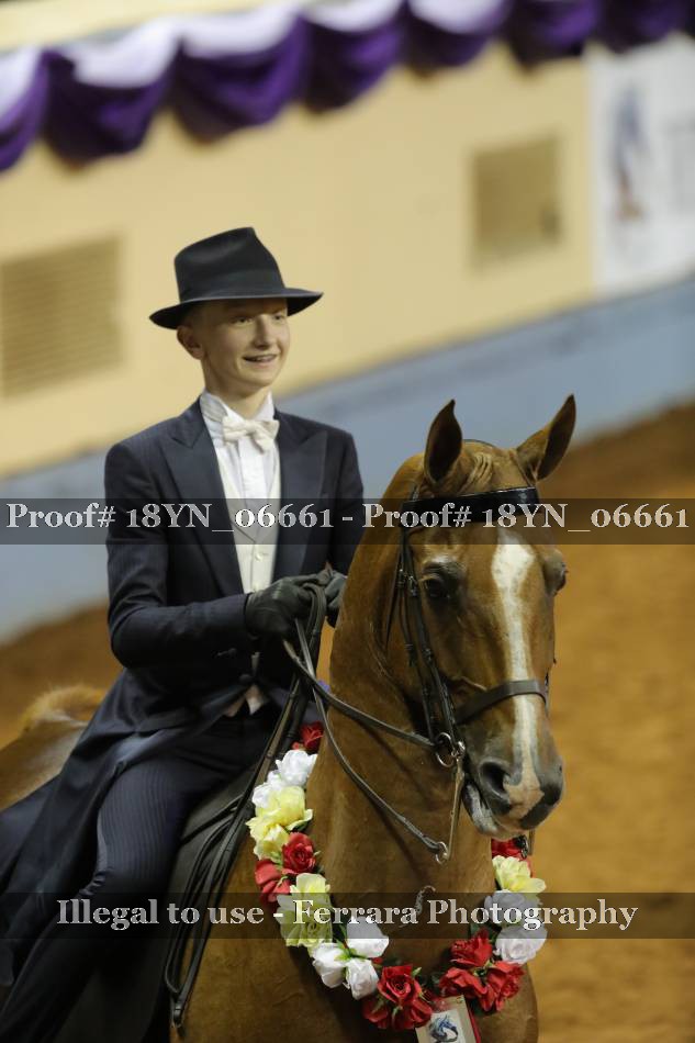 Proof 18YN_06661