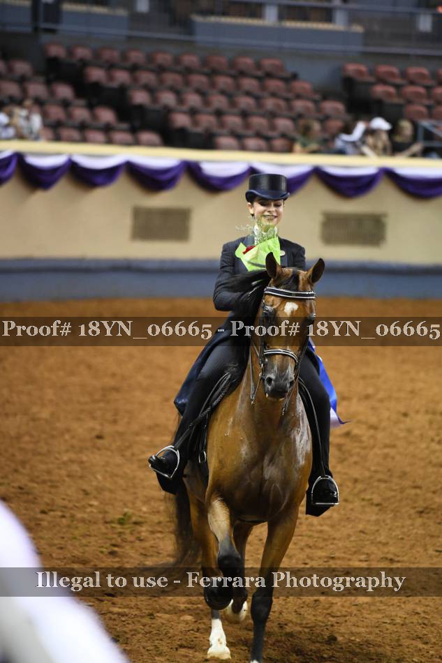 Proof 18YN_06665