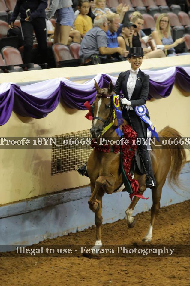 Proof 18YN_06668