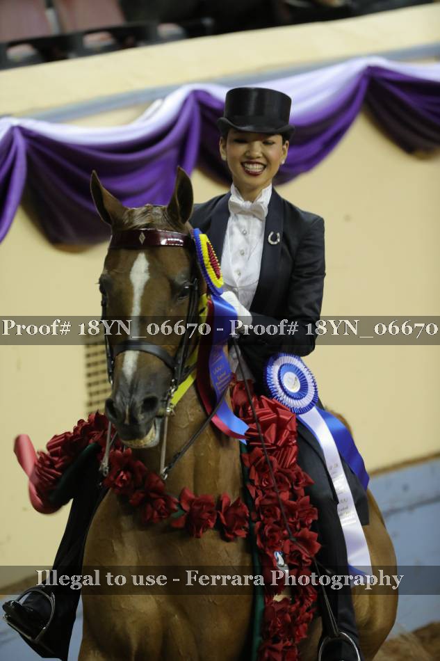 Proof 18YN_06670