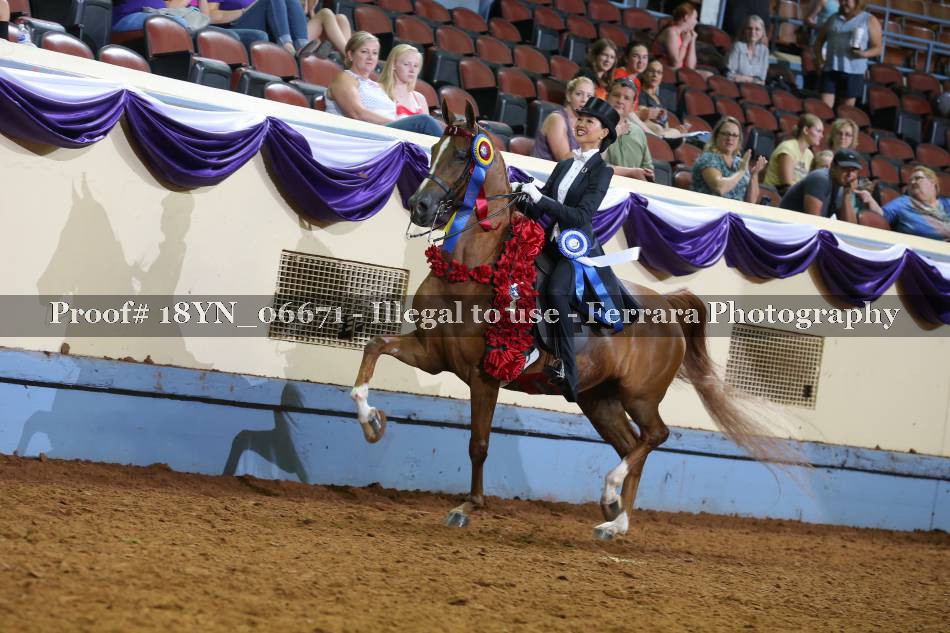 Proof 18YN_06671