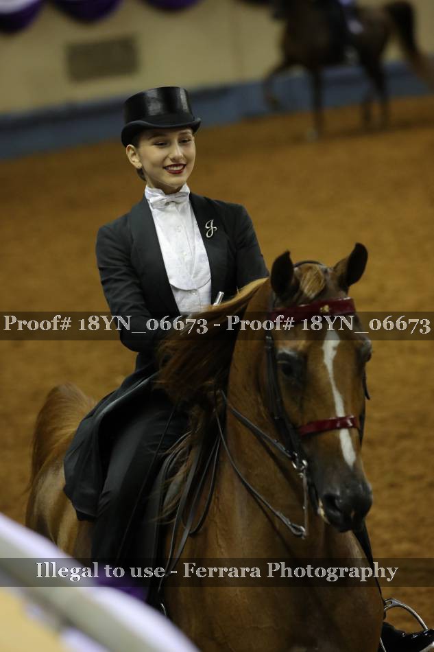Proof 18YN_06673