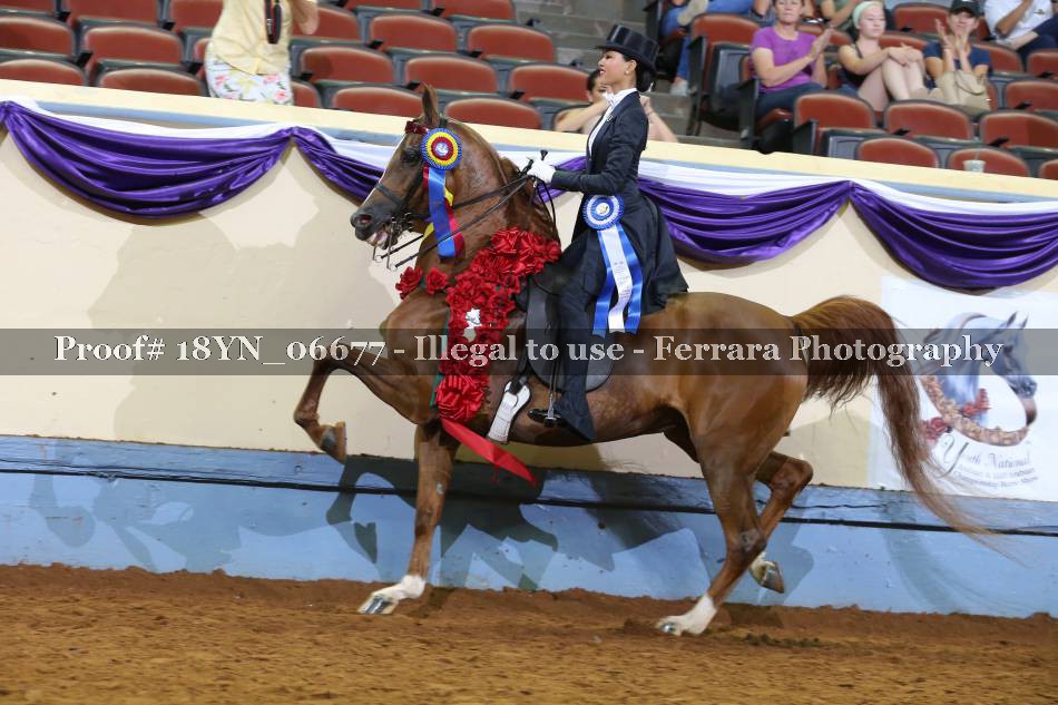 Proof 18YN_06677